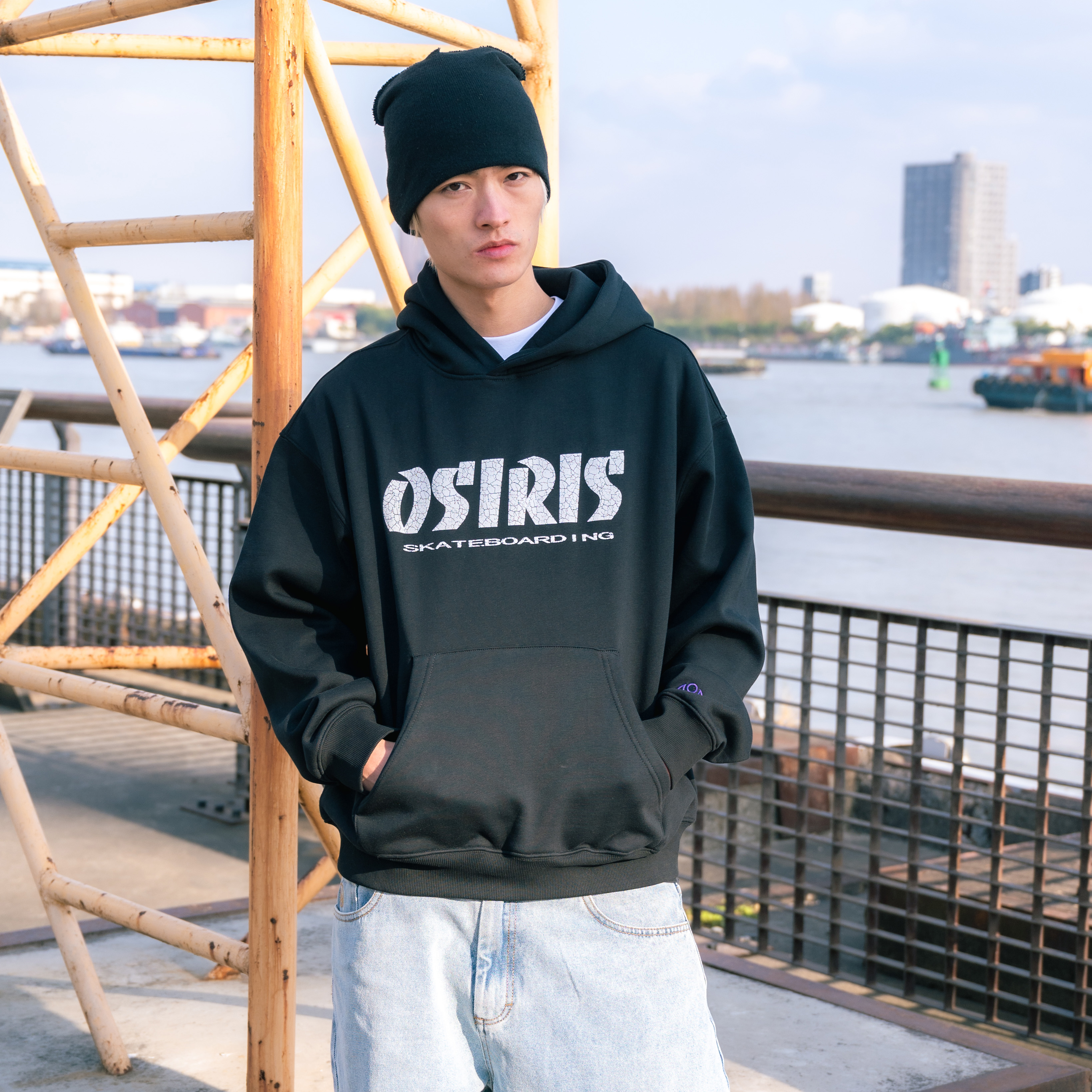 OSIRIS Hoodie Logo