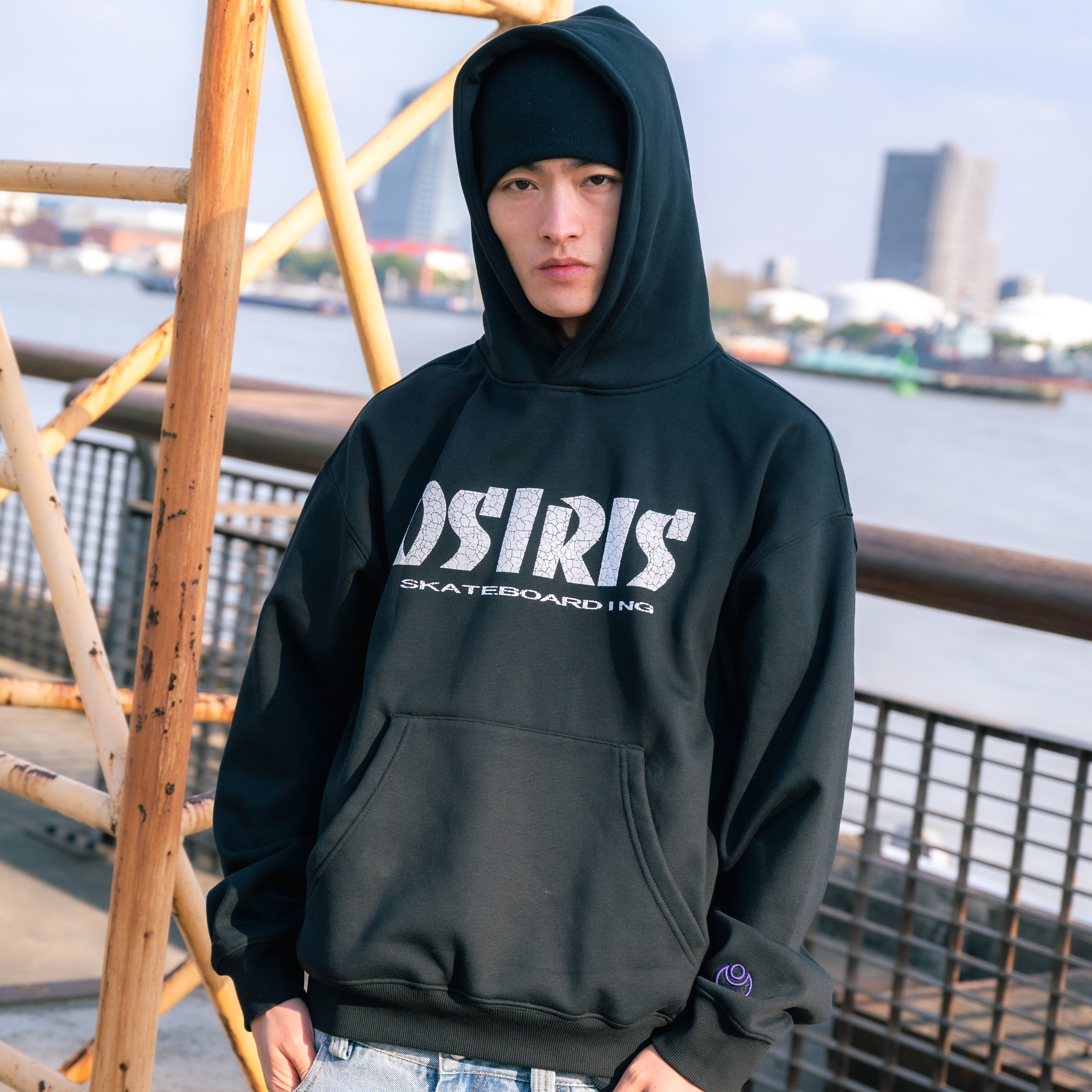 OSIRIS Hoodie Logo