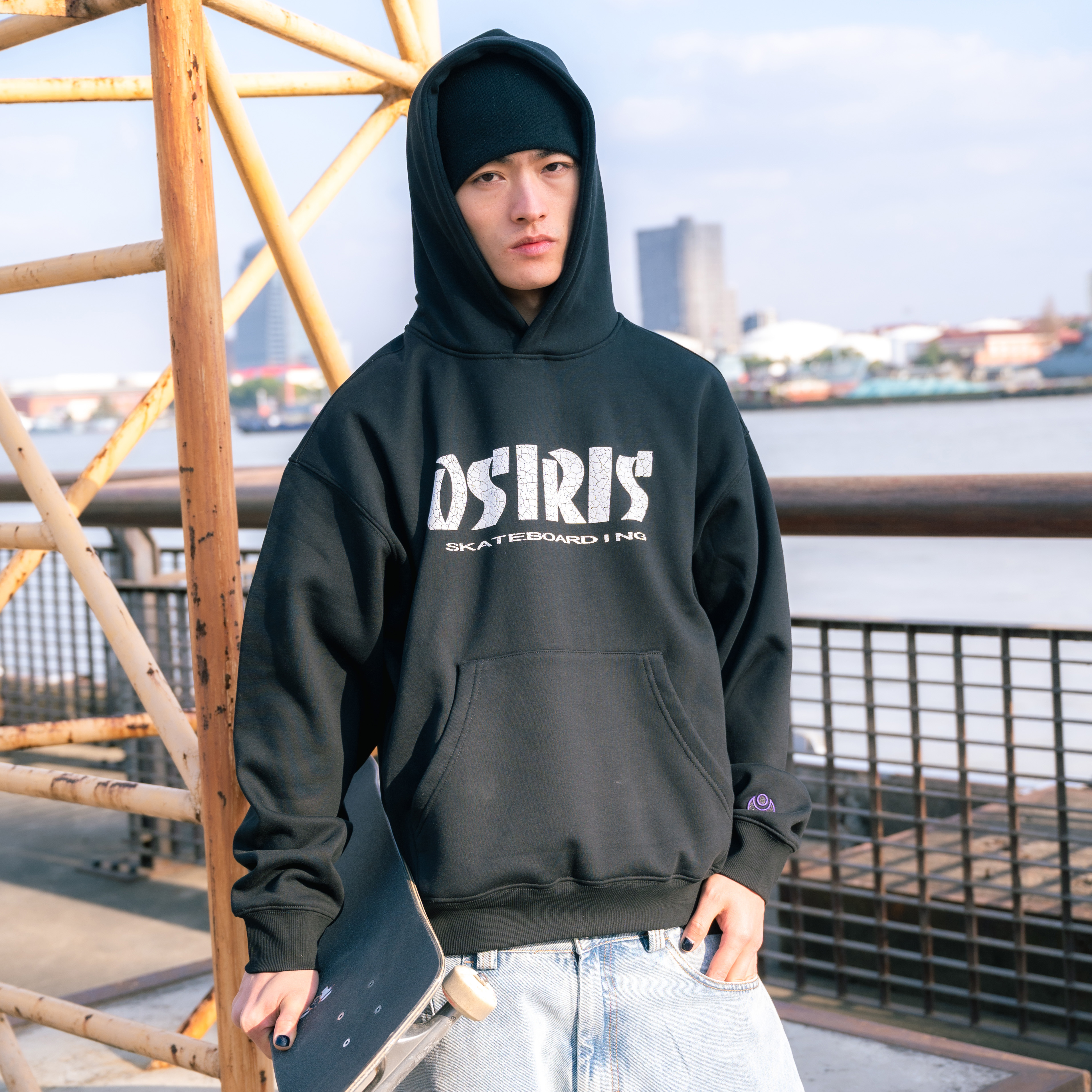 OSIRIS Hoodie Logo