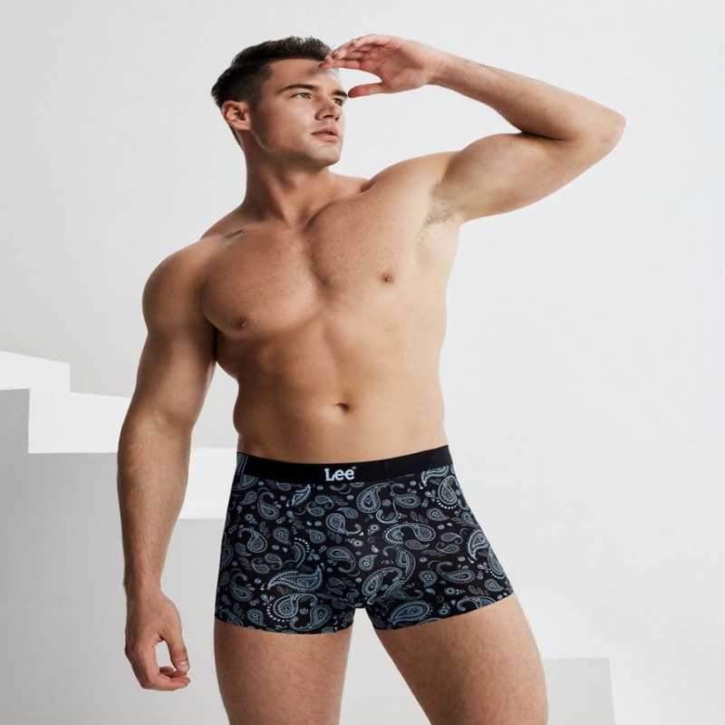 Lee 3