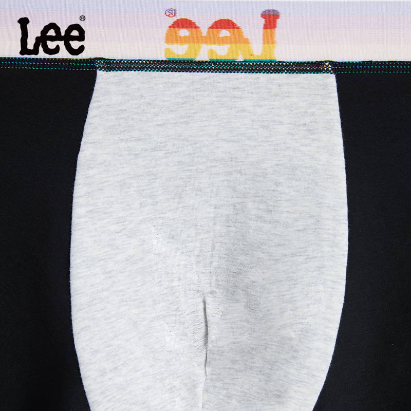 Lee 3