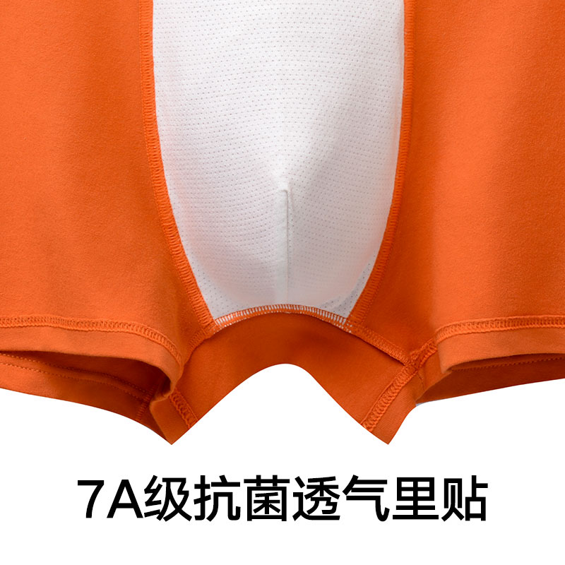Lee 3.0 7A 4
