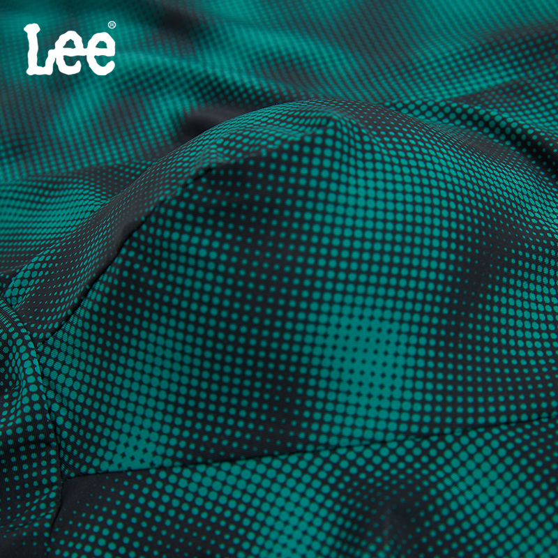 Lee 1