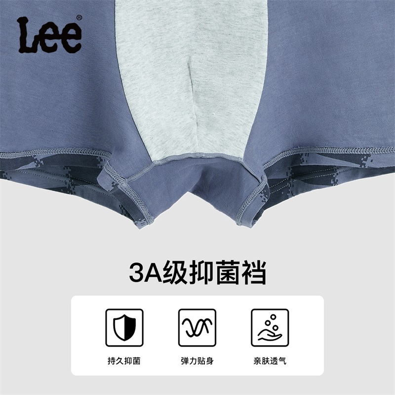 Lee 5