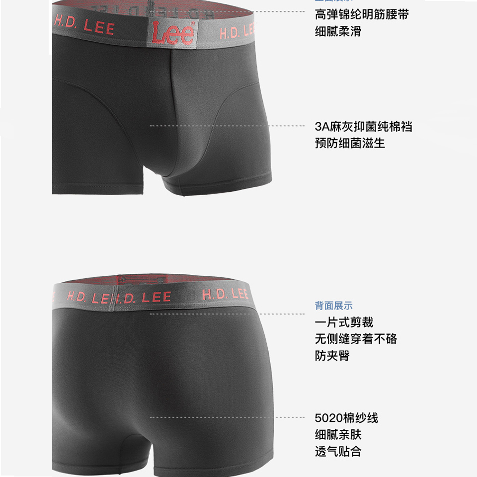 Lee 3