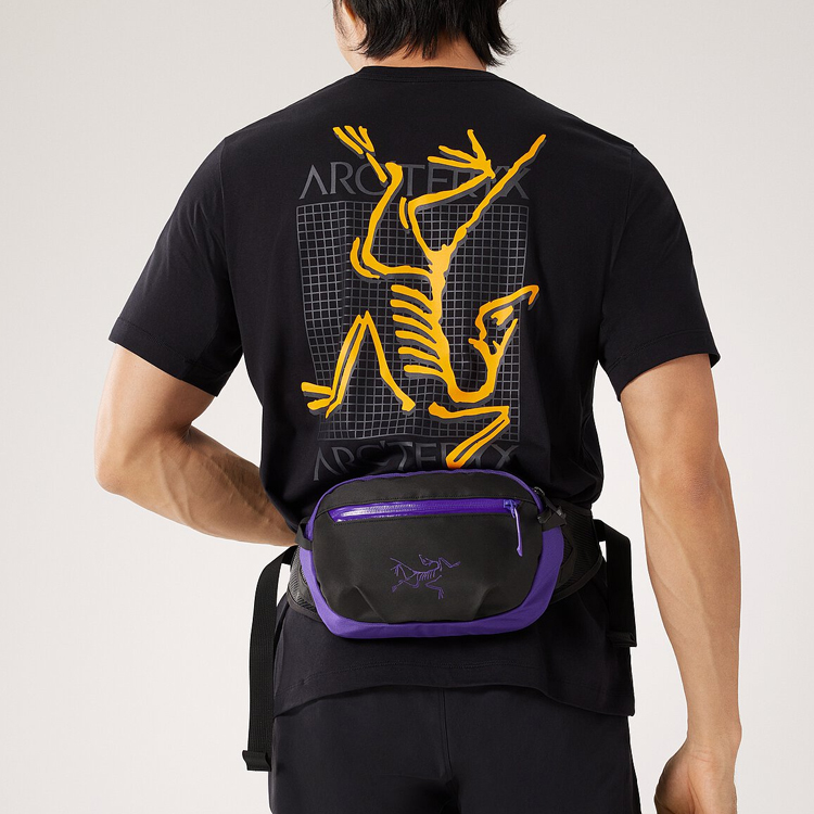 Arcteryx ARRO