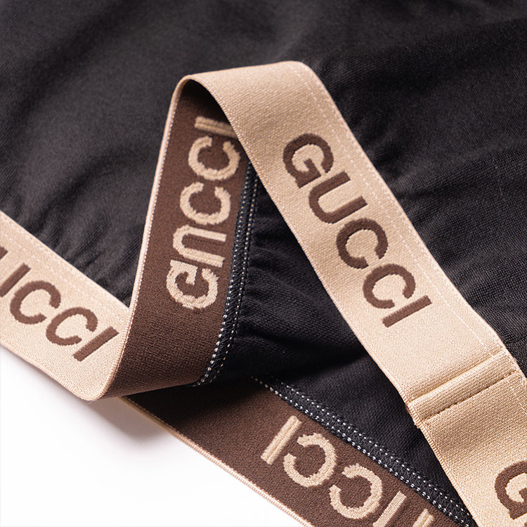 GUCCI GUCCI x THE NORTH FACE SS22 Logo