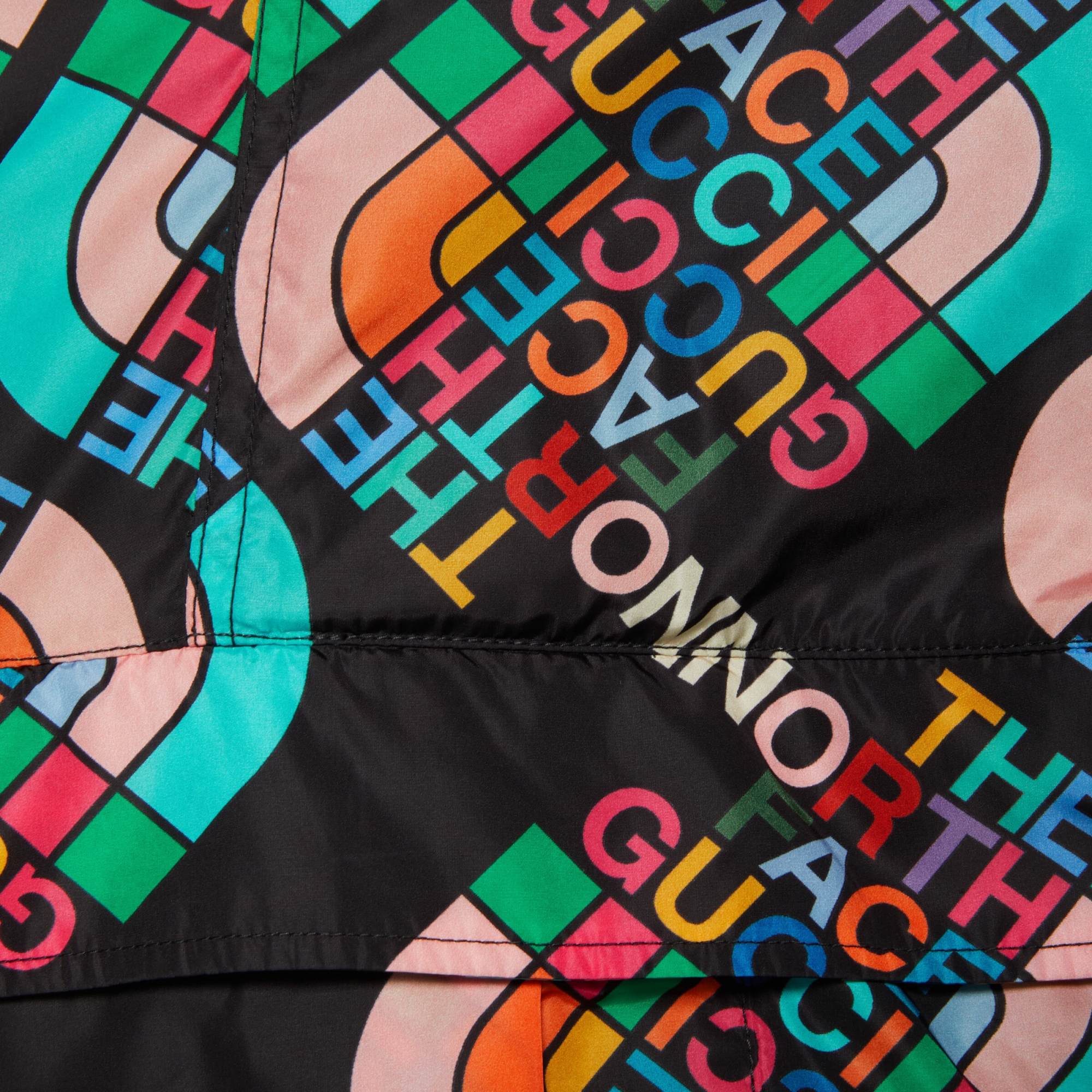 GUCCI x THE NORTH FACE PURPLE LABEL GUCCI x THE NORTH FACE FW22 Logo