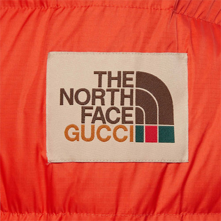 GUCCI x the north face